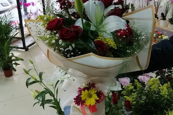 Rosa Çiçekçilik ve Hediyelik Eşya - Çiçekçi - İstanbul Arnavutköy