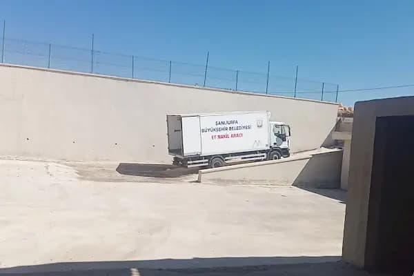 Şanlıurfa Büyükşehir Belediyesi hayvan kesim yeri - Büyükbaş Hayvan Pazarı - Şanlıurfa Akçakale