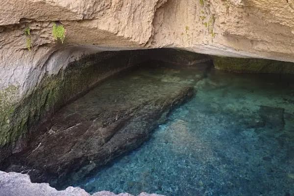 Reis'in Yeri Yüzme Havuzu &amp; Piknik Alanı - Piknik Alanı - Şanlıurfa Bozova