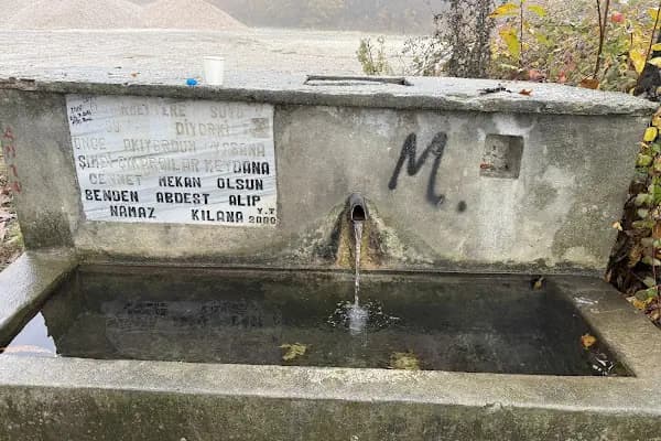 ARABOTURAĞI ORMAN DEPOSU - Devlet Dairesi - Bursa İnegöl