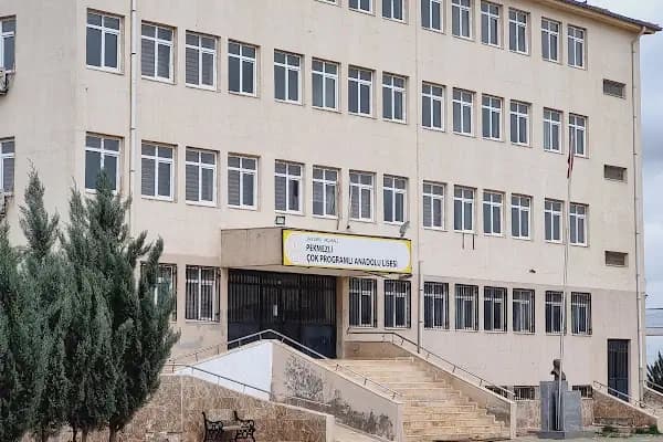 Pekmezli Çok Programlı Anadolu Lisesi - Okul - Şanlıurfa Akçakale