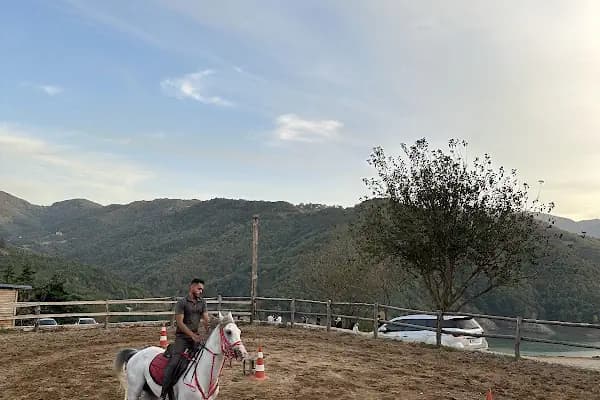 Marangoz Atlı Spor Kulubü - At Binme Hizmeti - Kocaeli Körfez