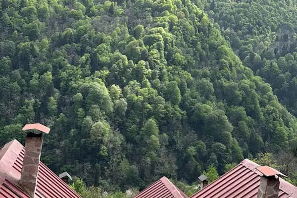 seyri cennet dağ evleri - Otel - Rize Derepazarı