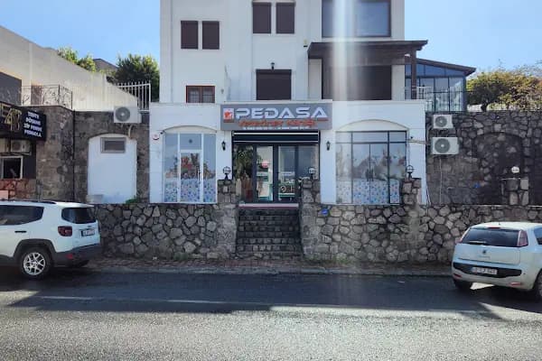 Pedasa Veteriner Kliniği - Veteriner - Muğla Bodrum
