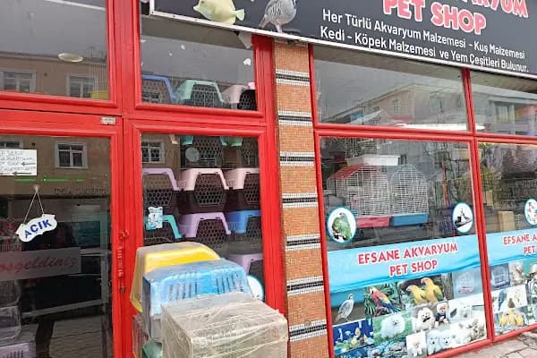 Efsane Akvaryum Pet Shop - Evcil hayvan mağazası - Ankara Sincan