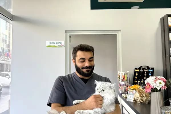 Küçükçekmece White Vet Veteriner Kliniği - Veteriner - İstanbul Sarıyer