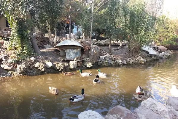 Önce Barış Sitesi - Hayvanat Bahçesi - Manisa Turgutlu