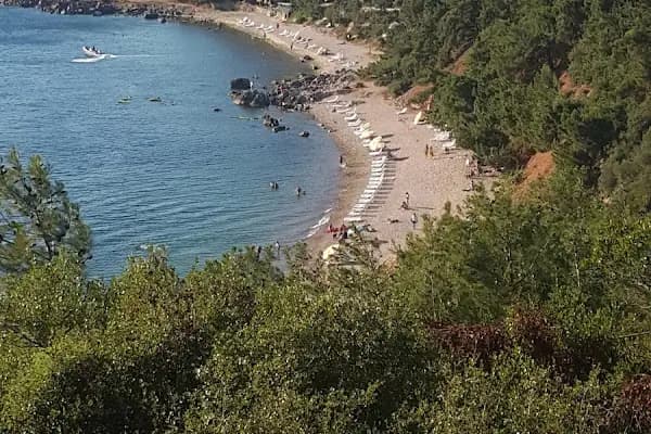 Levent Lavi Kovos Korusu - Ağaç Parkı - İstanbul Adalar
