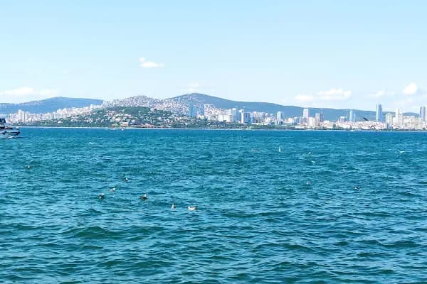 By Sukru Restaurant - Deniz mahsülleri restoranı - İstanbul Ataşehir