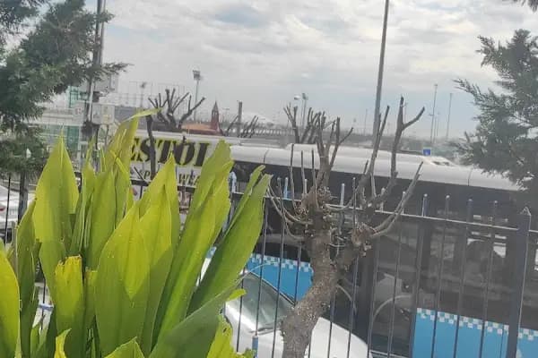 Bizim Ocak Lokanta - Aile restoranı - Erzurum Yakutiye