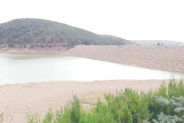 Derbent Dereağzı Göleti - Balık Tutma Gölü - Konya Derbent