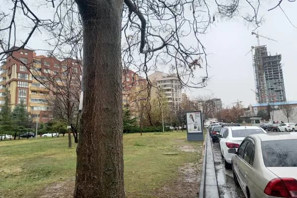 ABD Büyükelçiliği - Elçilik - Ankara Çankaya