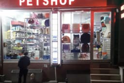 Vizyon Petshop