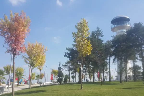Çocuk Parkı - Park - Sakarya Adapazarı