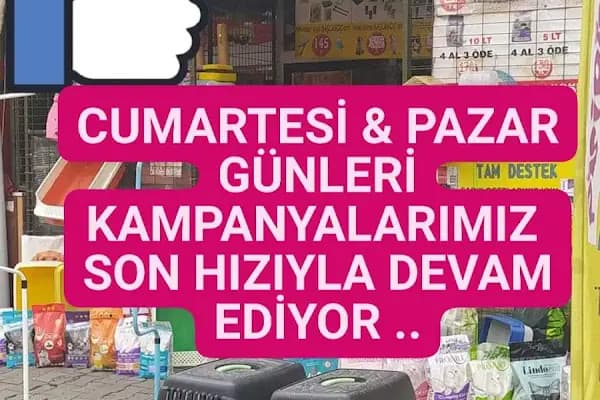 ÇANTAY AKVARYUM PETCİTY - Kuşçu - Balıkesir Kepsut