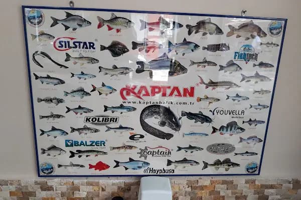 Yakamoz Balık Lokantası - Balık Restoranı - Bursa Gürsu