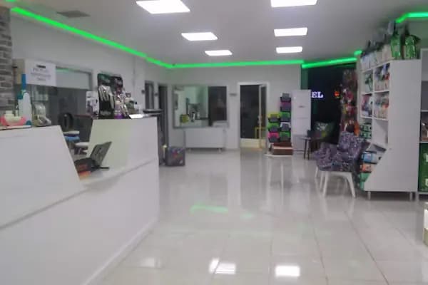 ARTEMİS VETERİNER KLİNİĞİ - Hayvan Hastanesi - Adana Çukurova
