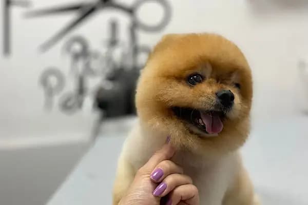 TANER AK KADIN &amp; ERKEK KUAFÖR SALONU &amp; Solarium &amp; microkaynak&amp;lazer epilasyon - Kuaför - İstanbul Kâğıthane