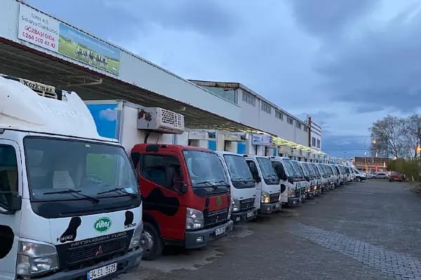 Gözbaşı Gıda Sakarya Sütaş - Depo - Sakarya Adapazarı