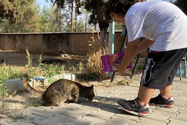 Salkım Jandarma Karakol Komutanlığı - Askeri Üs - Gaziantep Nizip