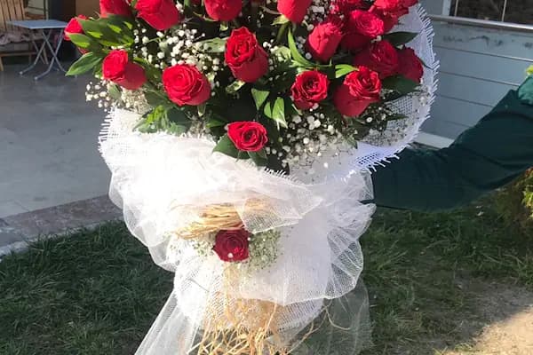 Aslıhan Çiçekçilik Etimesgut - Çiçekçi - Ankara Altındağ