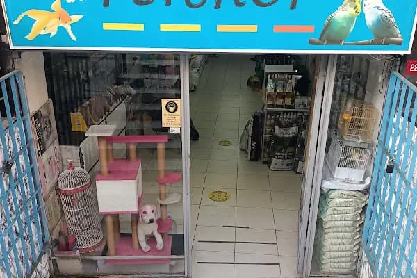 Kartal Petshop - Evcil hayvan mağazası - İstanbul Bakırköy