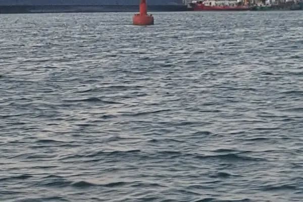 Shell&amp;Turcas Petrol A.Ş. Derince Dolum Tesisleri - Benzin İstasyonu - Kocaeli Gölcük