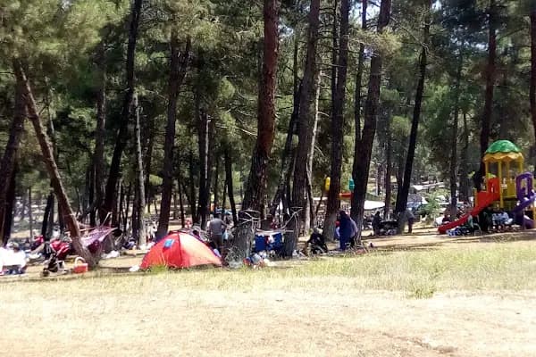 Karagöz Şenlik Alanı - Park - Bursa Orhangazi