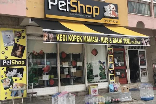 Mavi Mercan Pet Shop - Evcil hayvan mağazası - Ankara Mamak