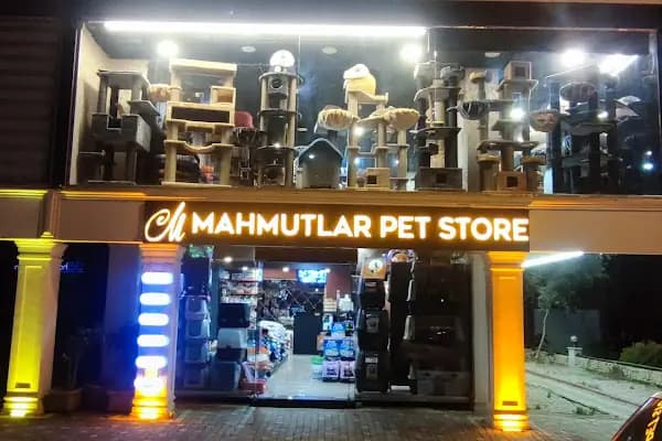 Groomickey Salon &amp; Store - Evcil Hayvan Kuaförü - Antalya Alanya