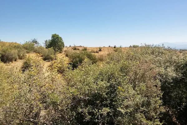 Bergama Gayrimenkul Emlak danışmanlık - Resim 4
