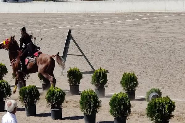 KAYSERİ büyükşehir belediyesi spor tesisleri - Spor Okulu - Kayseri Talas