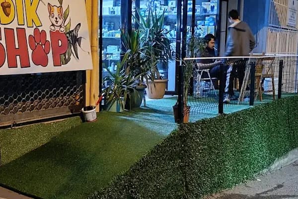 Fındık petshop - Evcil hayvan mağazası - İzmir Balçova