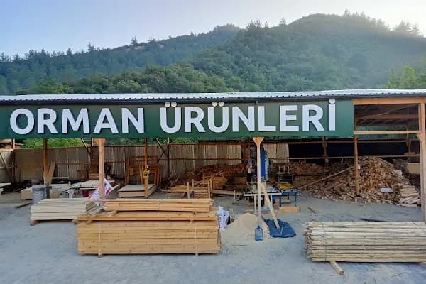 SERTASLAN ORMAN ÜRÜNLERİ - Kereste Atölyesi - Bursa Gemlik