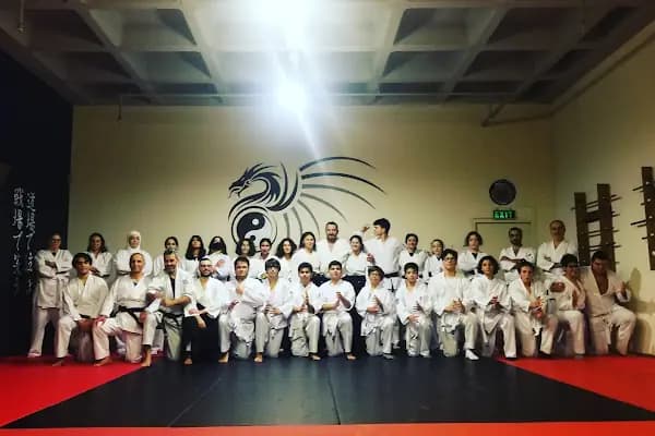 Senjutsu Dojo Savunma Sanatları Akademisi - Spor salonu - İstanbul Beylikdüzü