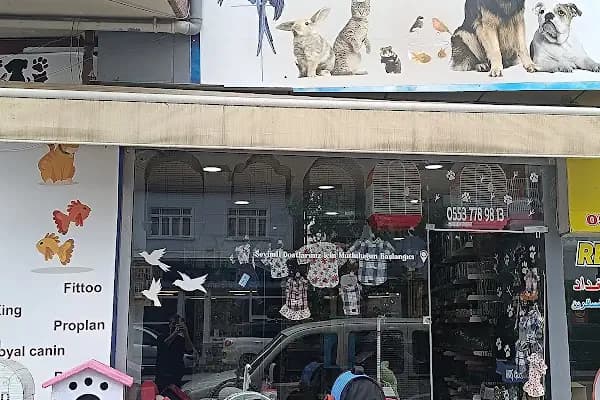 GÜLER PETSHOP - Evcil Hayvan Malzemeleri Mağazası - Sakarya Serdivan