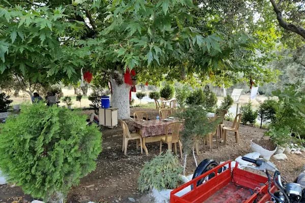 Tatali Çeşmesi - Kafe - İzmir Bayındır