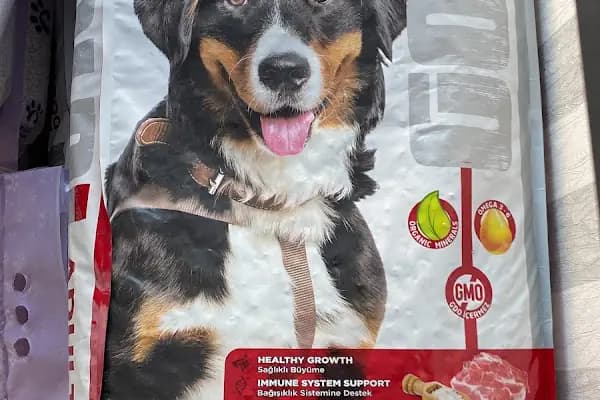 CZ YEM DÜNYASI - ARI MALZEMELERİ - Yem dükkanı - Ankara Altındağ