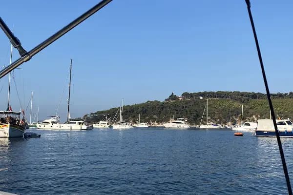 Çam Limanı - Otobüs Durağı - İstanbul Adalar
