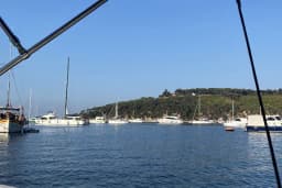 Çam Limanı