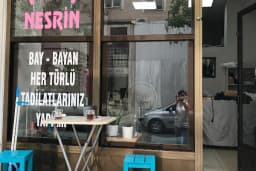 TERZİ NESRİN