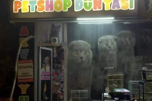 PETSHOP DÜNYASI - Evcil hayvan mağazası - Konya Karatay