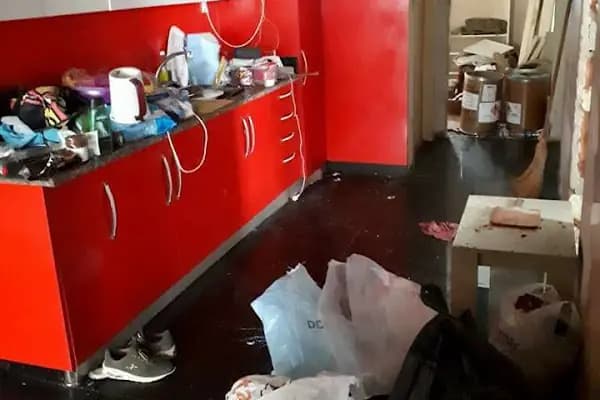 Pestvet Temizlik Şirketi - Ev Temizlik Hizmetleri - İstanbul Şişli