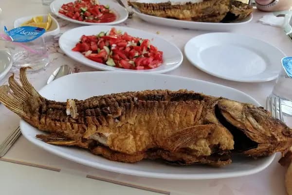Balık profesörü - Balık Restoranı - Konya Akşehir