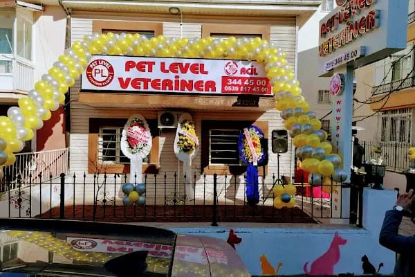 Keçiören Pet Level Veteriner Klinik - Veteriner - Ankara Ayaş