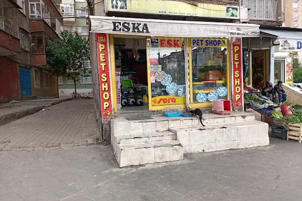 Seda Akvaryum &amp; Pet Shop - Evcil hayvan mağazası - Diyarbakır Bismil