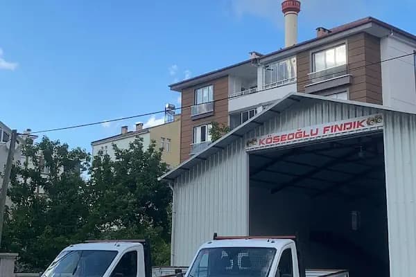 KÖSEOĞLU FINDIK - Kurumsal Ofis - Samsun 19 Mayıs