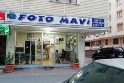 foto mavi halil tilki