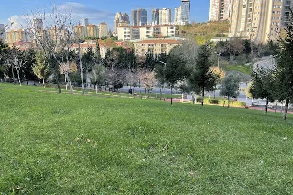 T.C. ATAŞEHİR BELEDİYESİ ERGUVAN BARIŞ PARKI - Park - İstanbul Ataşehir