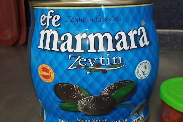 Efe Marmara Zeytin - Zeytinyağı Üreticisi - Bursa İznik